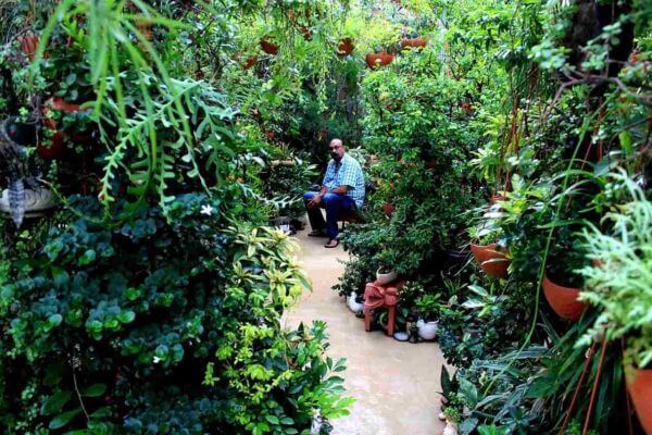 Vanit Jain Garden