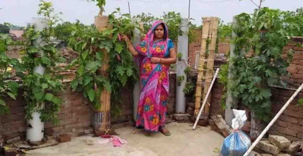Sunita-Prasad-farmer