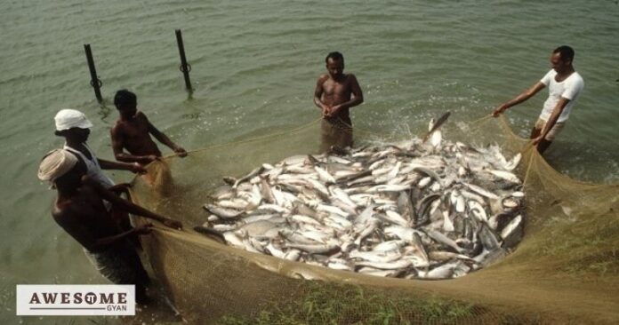 Brajesh-Kumar-Singh-fish-farming-bihar