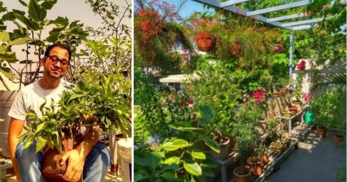 tarun-upadhyay-soilless-gardening