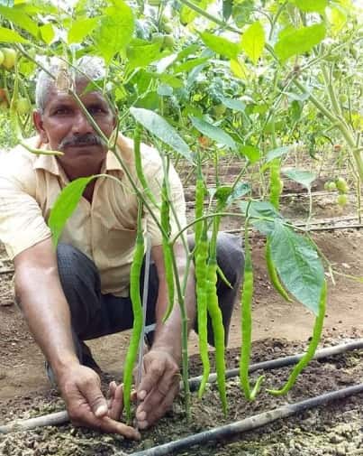 moti-singh-rawat-started-farming