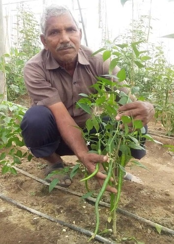 moti-singh-rawat-started-farming