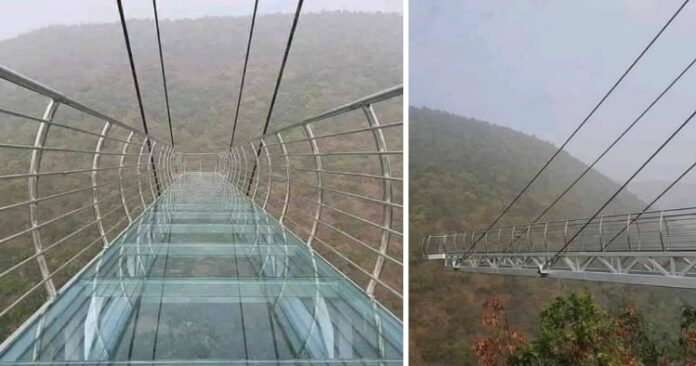 glass-bridge-in-rajgir