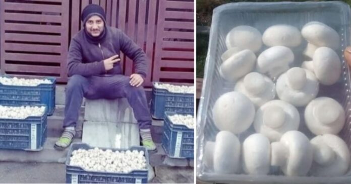 Anuj Sharma-mushroom-farming