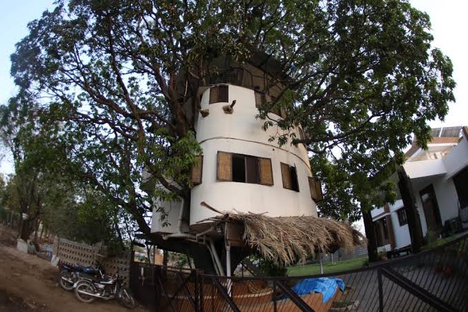 Four-Storey-Treehouse-In-Udaipur