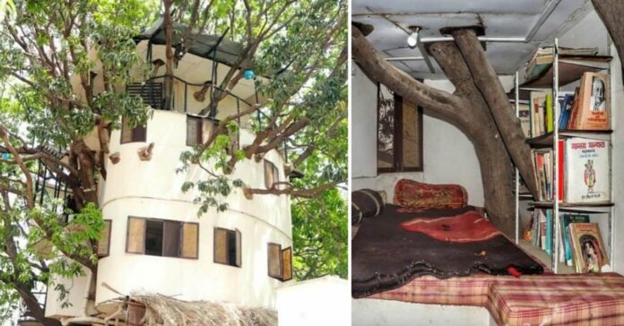 Four-Storey-Treehouse-In-Udaipur-6