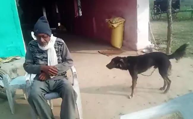 Om-Verma-gave-his-property-to-a-pet-dog