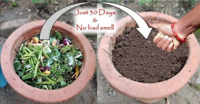 Make-Compost-At-Home-With-Kitchen-and-Garden-Waste-3