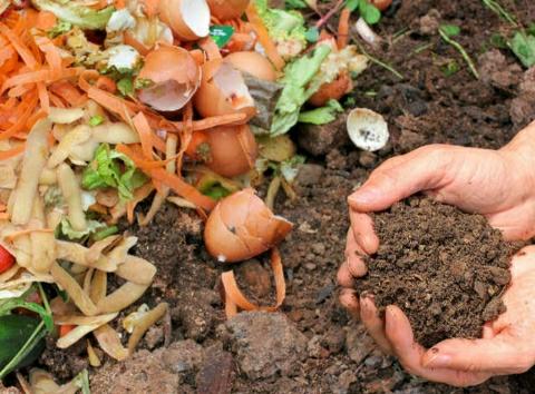 Make-Compost-At-Home-With-Kitchen-and-Garden-Waste