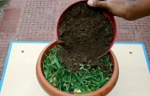 Make-Compost-At-Home-With-Kitchen-and-Garden-Waste-1