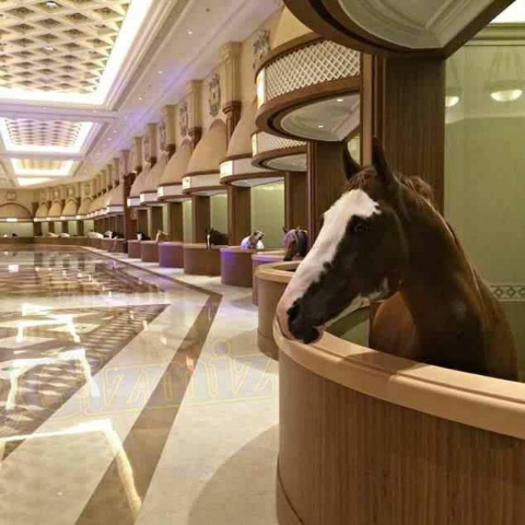 The-Luxurious-Lifestyle-of-Dubai-5