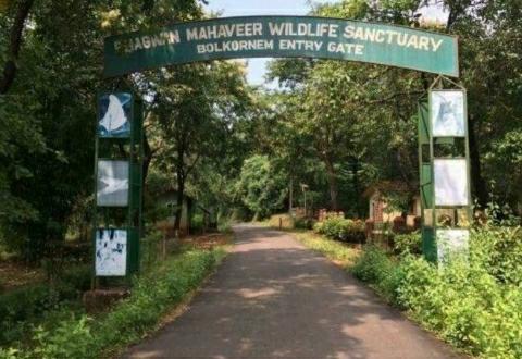 Bhagwan Mahavir Wildlife Sanctuary