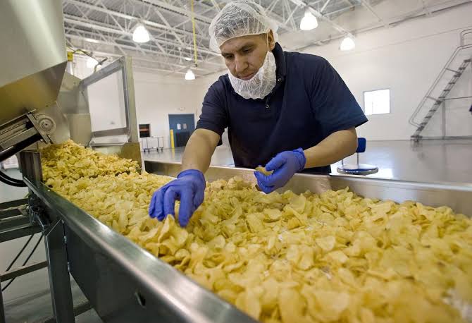 Potato chips making startup