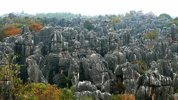 China-270-million-year-old-stone-forest
