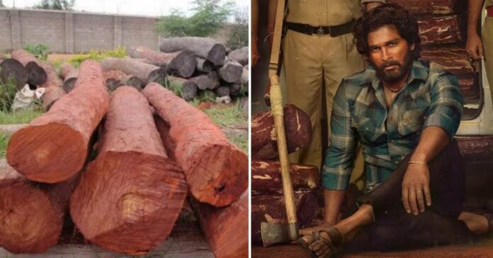 Story-about-Red-sandalwood