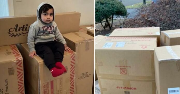 2-year-old-boy-accidentally-ordered-a-furtinure
