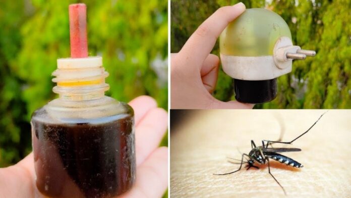 How to Make Mosquito Repellent Refill at Home
