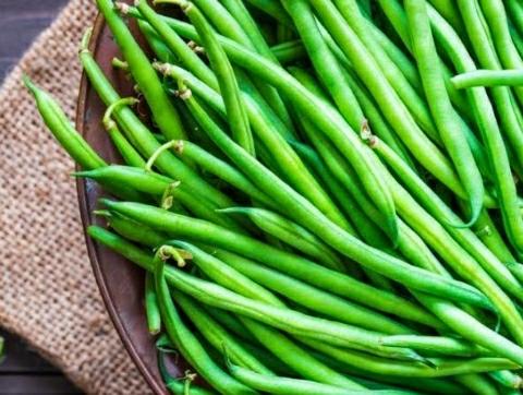 How to grow Green Beans at Home in Hindi