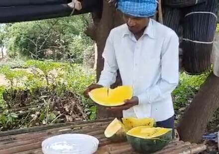 Jharkhand farmer grows yellow watermelon
