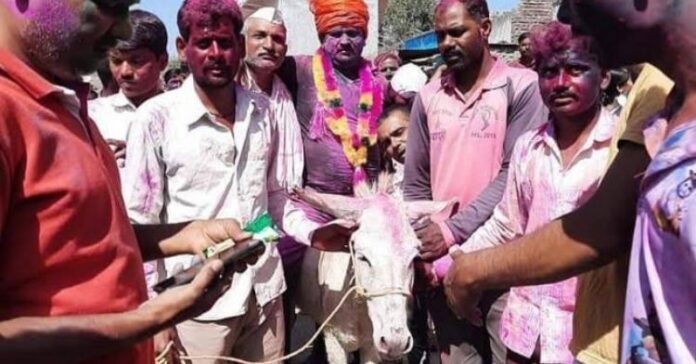 Holi 2022 On the day of Holi the son-in-law is gets to ride a donkey