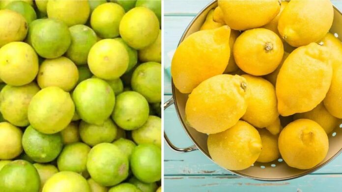 How to store lemon for a month