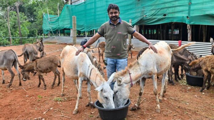 Man Quits Job to Open Donkey Farm