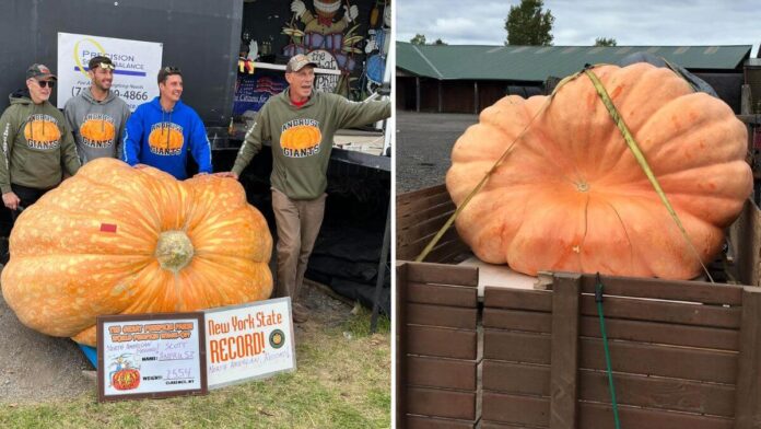 1158 kg pumpkin