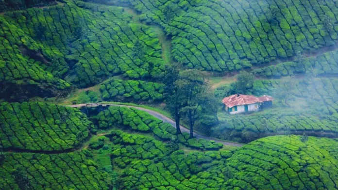 Munnar Hill Station