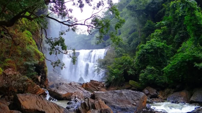 Waterfalls in Uttarakhand