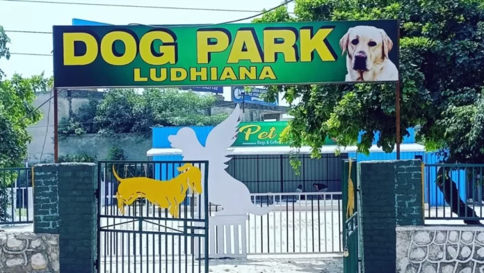 Dog Park Ludhiana